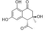 4-（反式）-乙酰基-3,6,8-三羥基-3-甲基二氫萘酮標(biāo)準(zhǔn)品