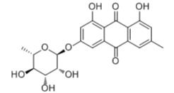 大黃素-3-O-鼠李糖苷標(biāo)準(zhǔn)品