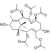 13-脫乙酰紫杉三烯A標(biāo)準(zhǔn)品