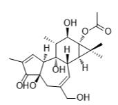 佛波醇 13-乙酸酯標(biāo)準(zhǔn)品