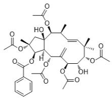 麻瘋樹6標(biāo)準(zhǔn)品