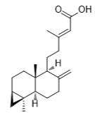 紅杉酸A標(biāo)準(zhǔn)品