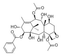 漿果赤霉素X標(biāo)準(zhǔn)品