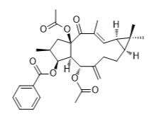 大戟因子L3標(biāo)準(zhǔn)品