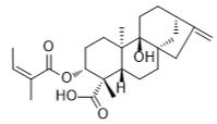 3α-Angeloyloxypterokaurene L3標(biāo)準(zhǔn)品