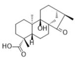 ent-9-Hydroxy-15-oxokauran-19-oic acid標(biāo)準(zhǔn)品