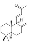 15,16-二去甲-8(17),11-賴百當(dāng)二烯-13-酮標(biāo)準(zhǔn)品