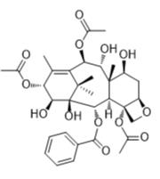 漿果赤霉素VIII標(biāo)準(zhǔn)品