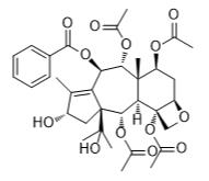 云南紅豆杉酯甲標準品