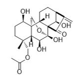 旱生香茶菜素G標(biāo)準(zhǔn)品