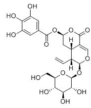 7β-沒食子酸酯標(biāo)準(zhǔn)品