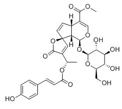 13-O-p-香豆酰脲標(biāo)準(zhǔn)品