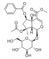 6-O-苯甲酰環(huán)烯醚萜B標準品