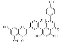 2,3-二氫穗花杉雙黃酮標準品