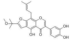 異黃酮H標(biāo)準(zhǔn)品
