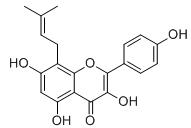 8-異戊烯基山奈酚標(biāo)準(zhǔn)品