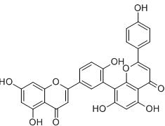 穗花杉雙黃酮標準品