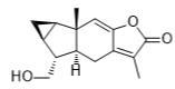 銀線草內(nèi)酯C標(biāo)準(zhǔn)品