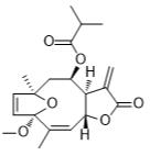 3-O-甲基圓葉腫柄菊素 F標準品