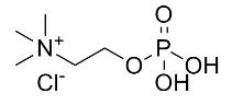 磷酸膽堿標準品