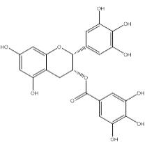表沒食子兒茶素沒食子酸酯對(duì)照品